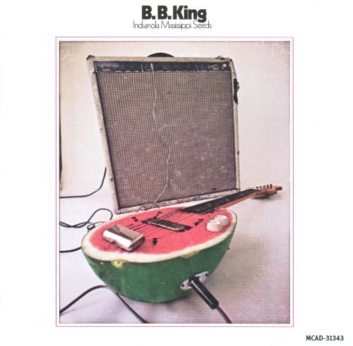 BB King Indianola Mississipi Seeds Album Cover